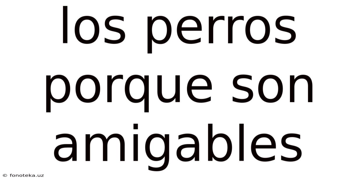 Los Perros Porque Son Amigables