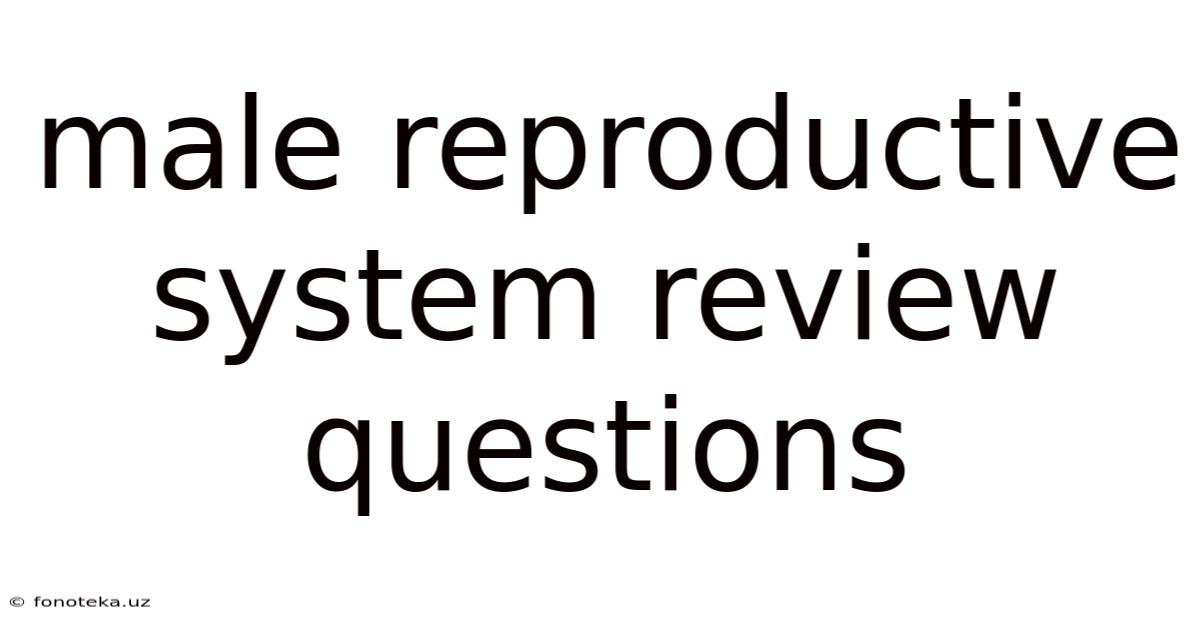Male Reproductive System Review Questions