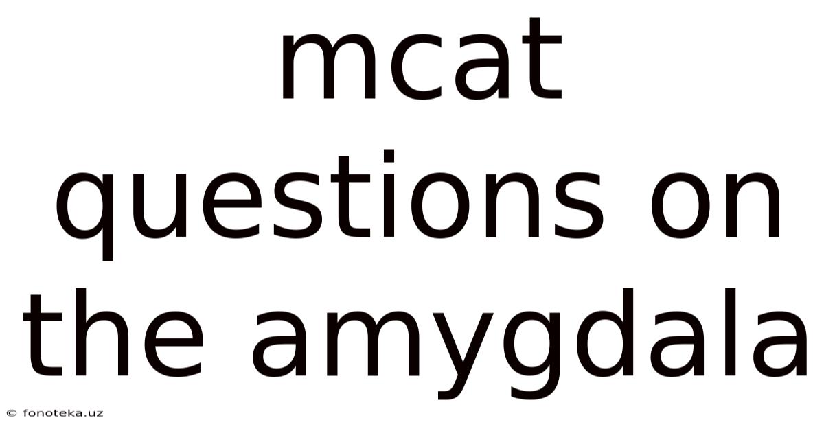 Mcat Questions On The Amygdala