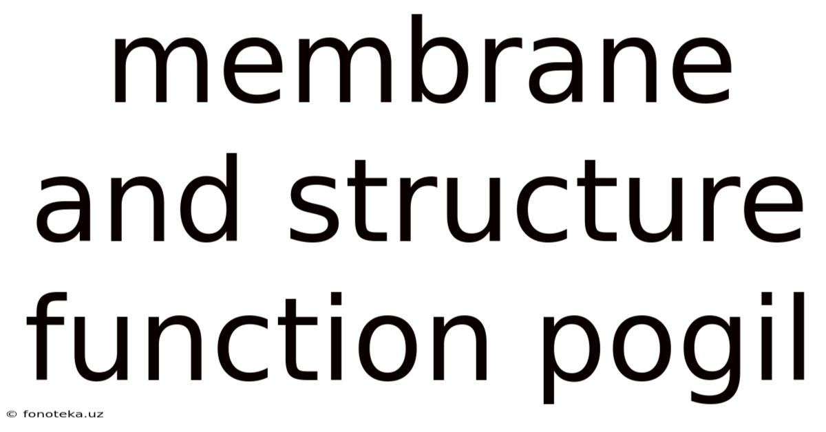 Membrane And Structure Function Pogil