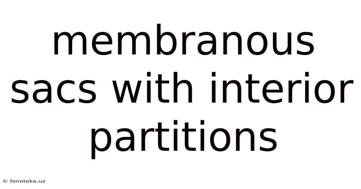 Membranous Sacs With Interior Partitions