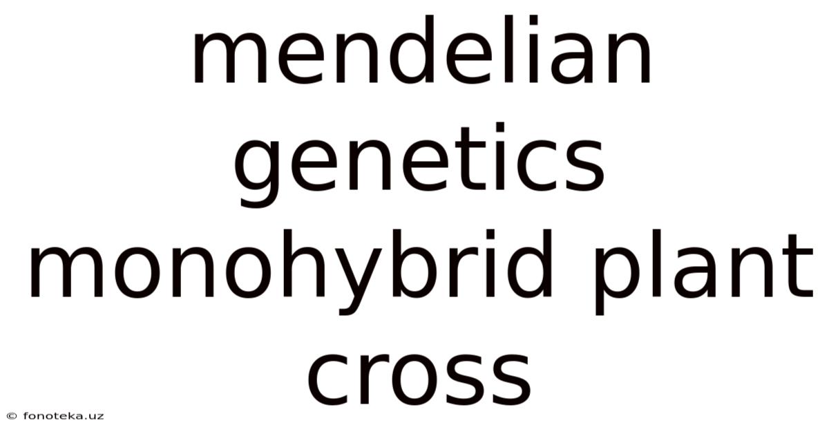 Mendelian Genetics Monohybrid Plant Cross