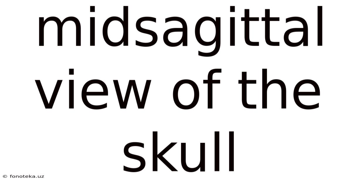 Midsagittal View Of The Skull