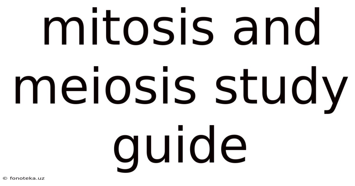 Mitosis And Meiosis Study Guide