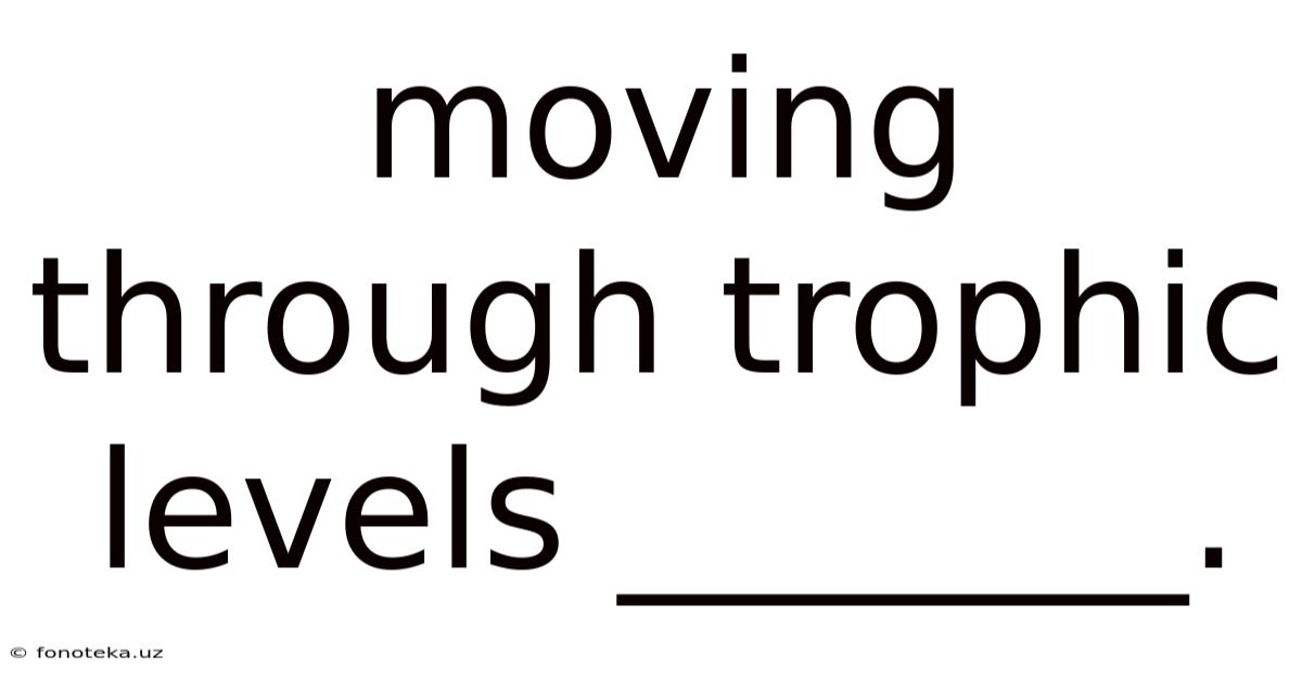 Moving Through Trophic Levels _______.
