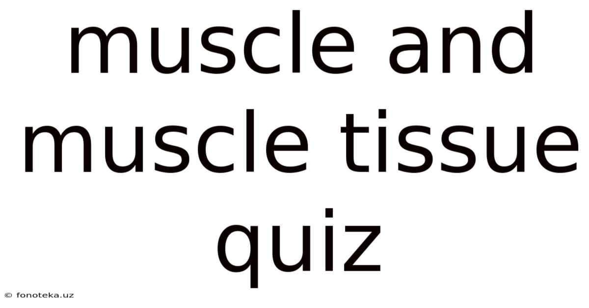 Muscle And Muscle Tissue Quiz
