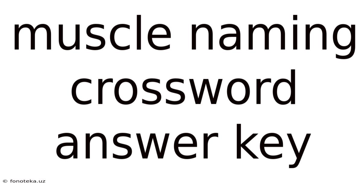 Muscle Naming Crossword Answer Key