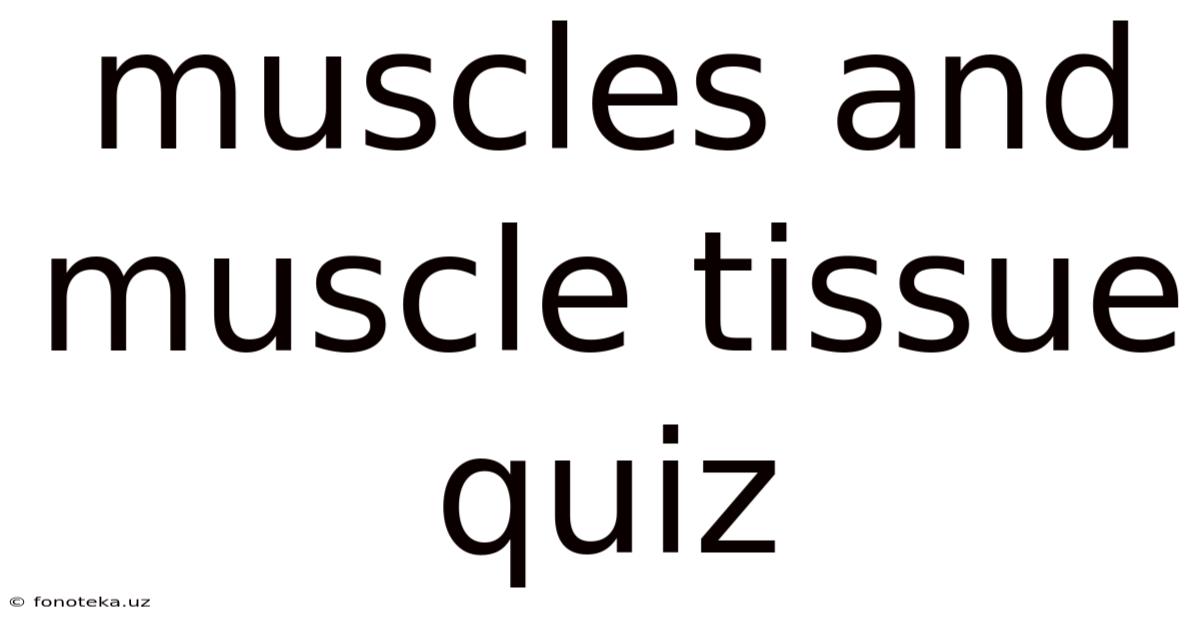 Muscles And Muscle Tissue Quiz