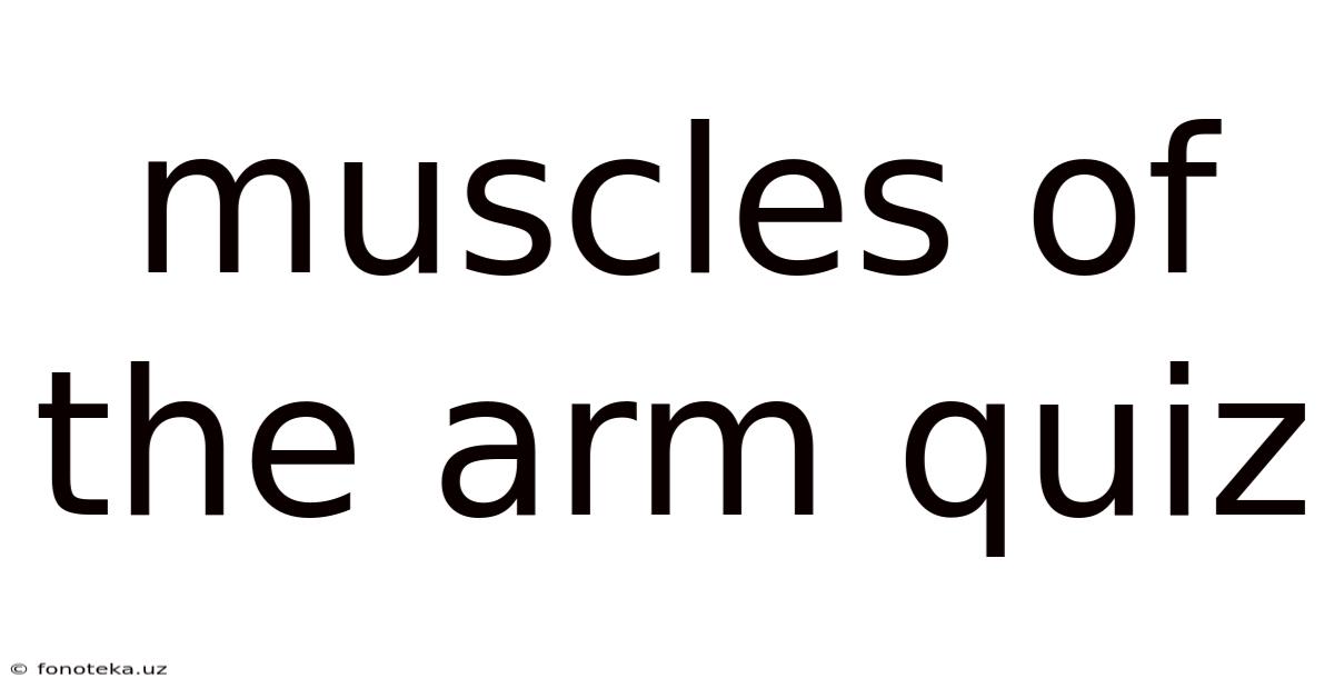 Muscles Of The Arm Quiz