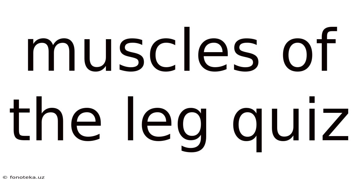 Muscles Of The Leg Quiz