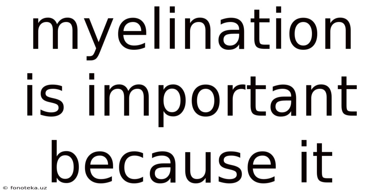 Myelination Is Important Because It