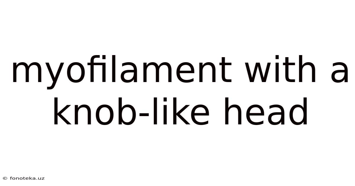 Myofilament With A Knob-like Head