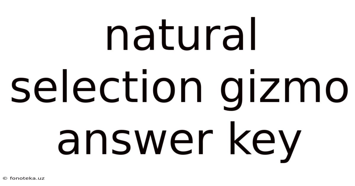 Natural Selection Gizmo Answer Key