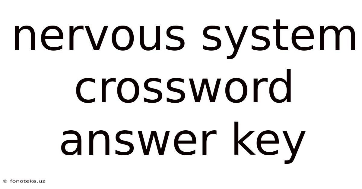 Nervous System Crossword Answer Key