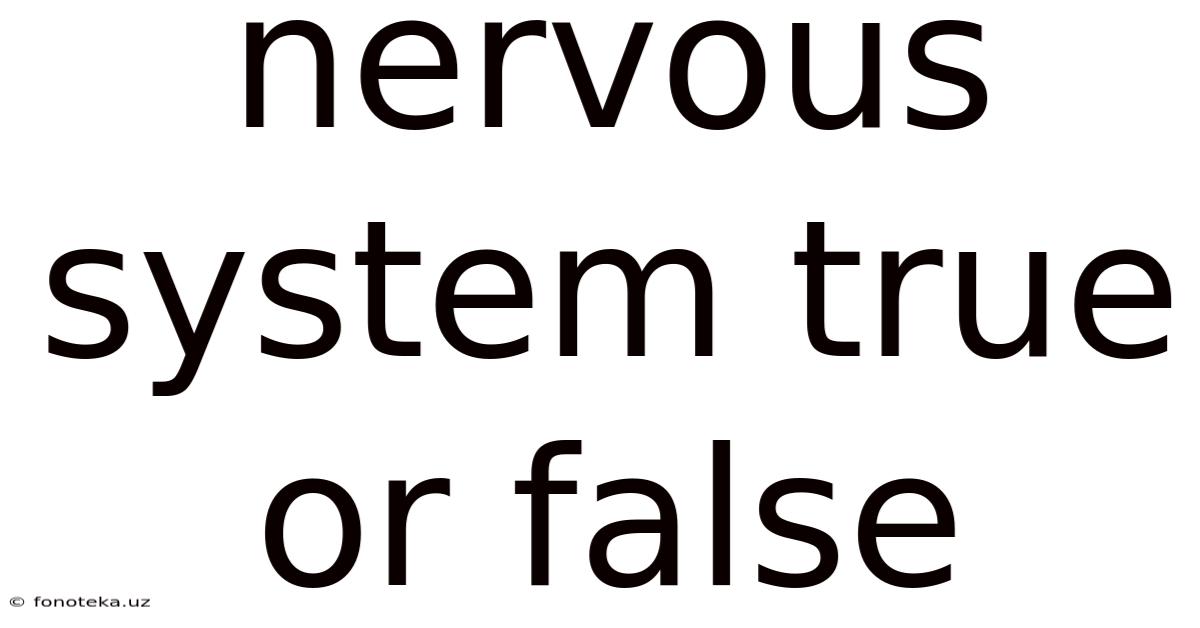Nervous System True Or False