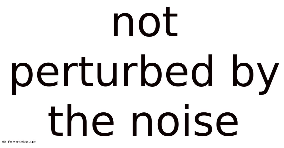 Not Perturbed By The Noise