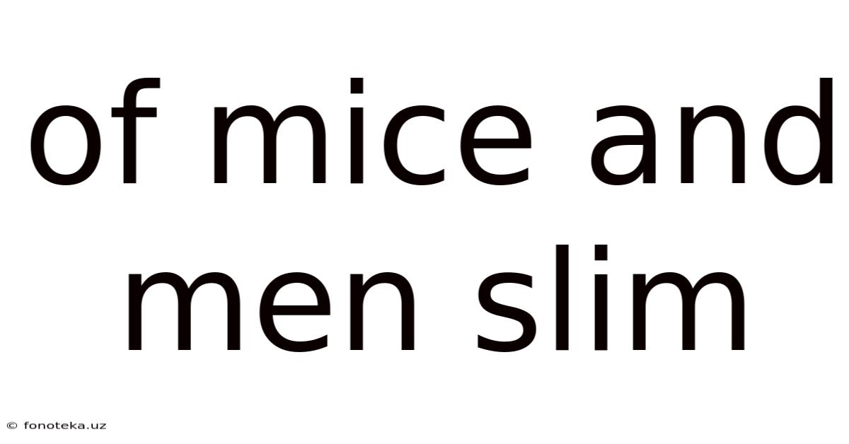 Of Mice And Men Slim