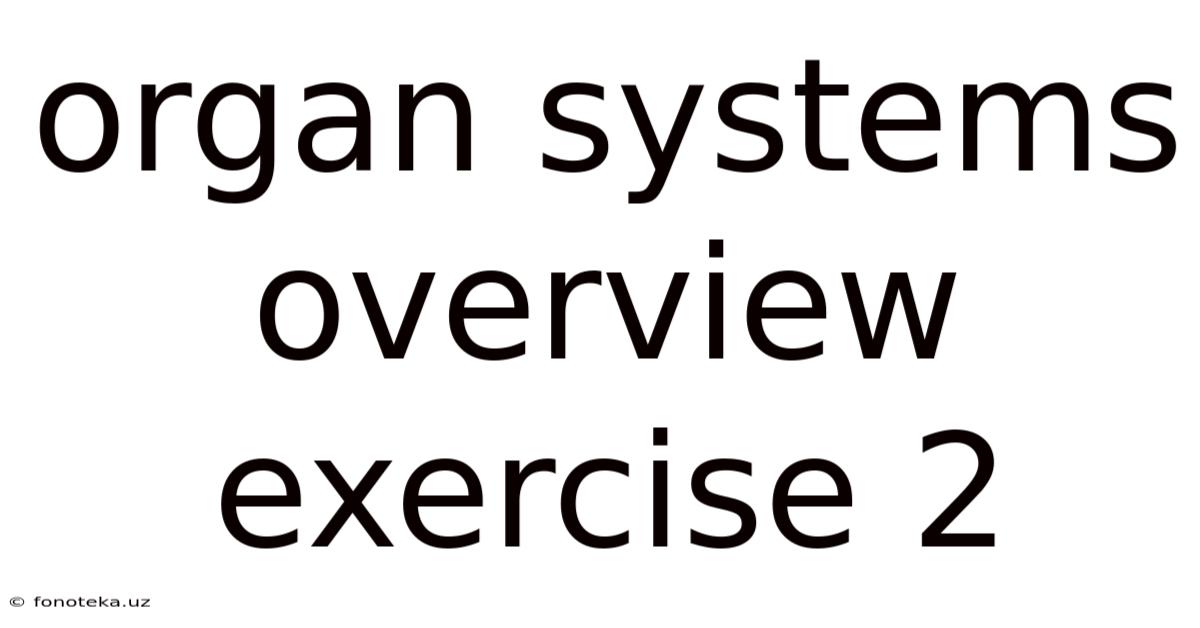 Organ Systems Overview Exercise 2