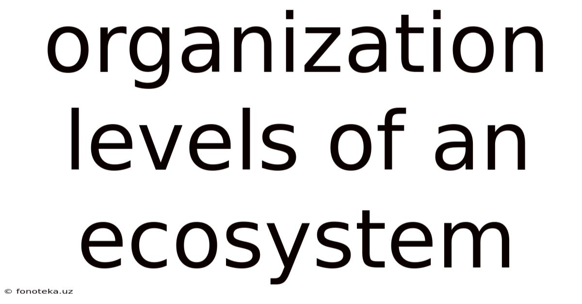 Organization Levels Of An Ecosystem