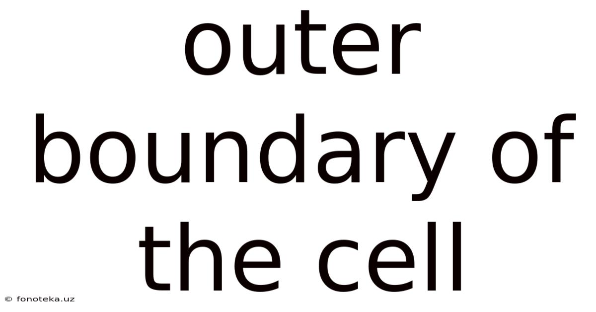 Outer Boundary Of The Cell