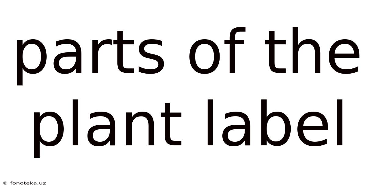 Parts Of The Plant Label