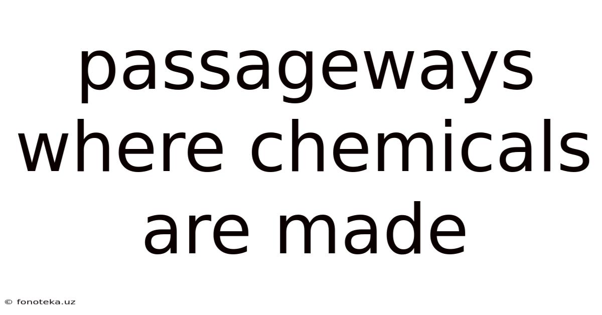 Passageways Where Chemicals Are Made