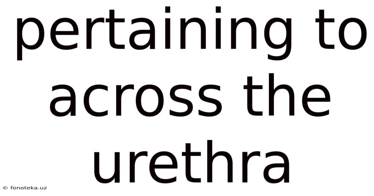 Pertaining To Across The Urethra