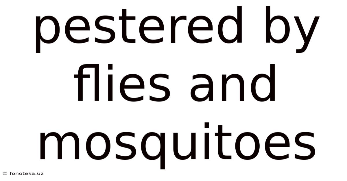 Pestered By Flies And Mosquitoes