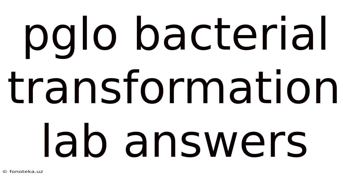 Pglo Bacterial Transformation Lab Answers