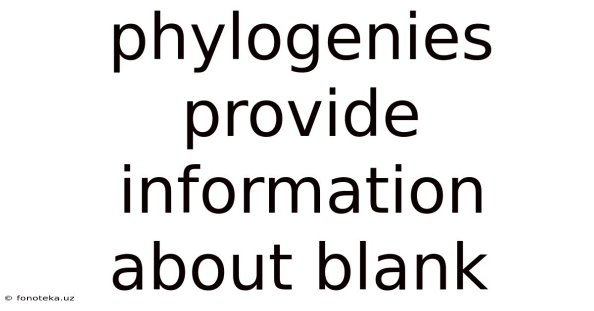 Phylogenies Provide Information About Blank