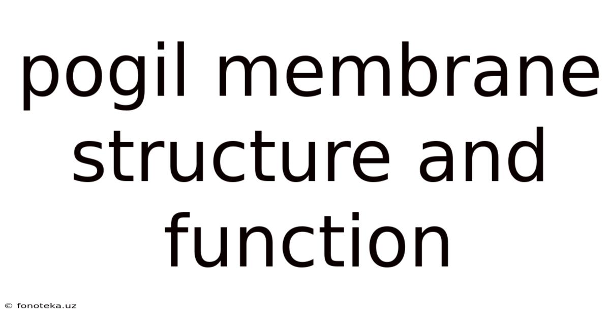 Pogil Membrane Structure And Function