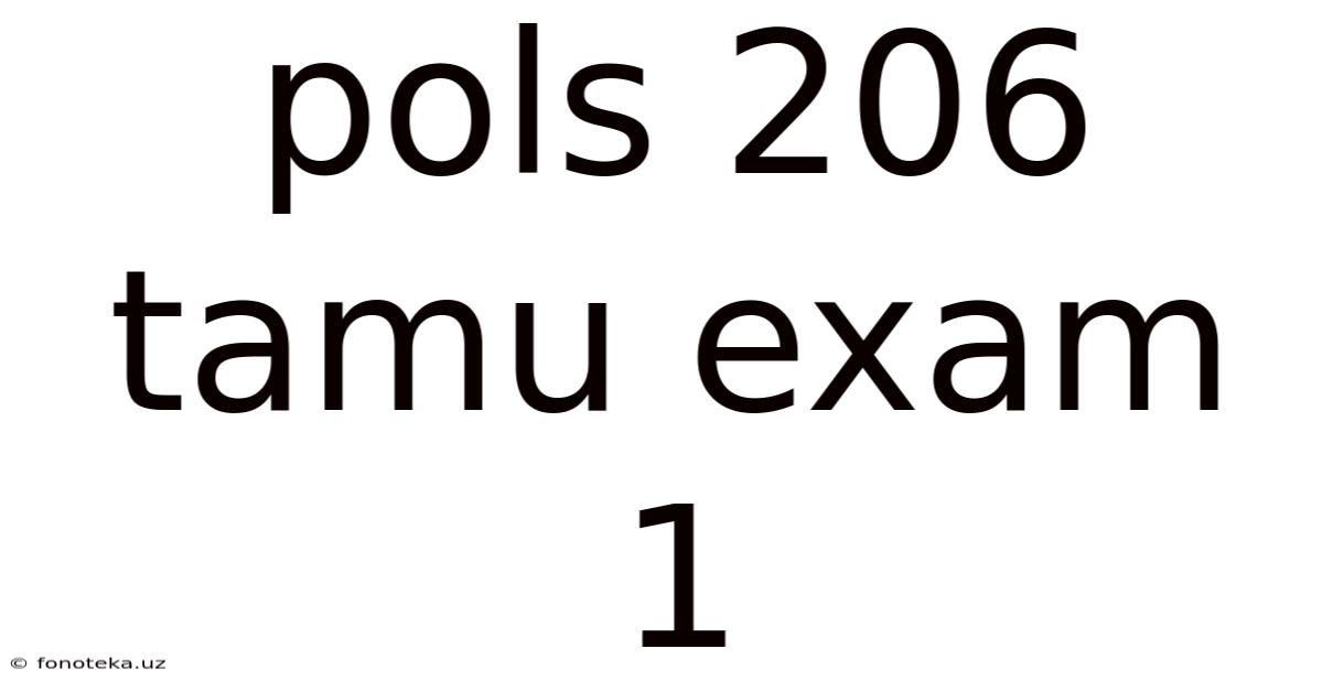 Pols 206 Tamu Exam 1