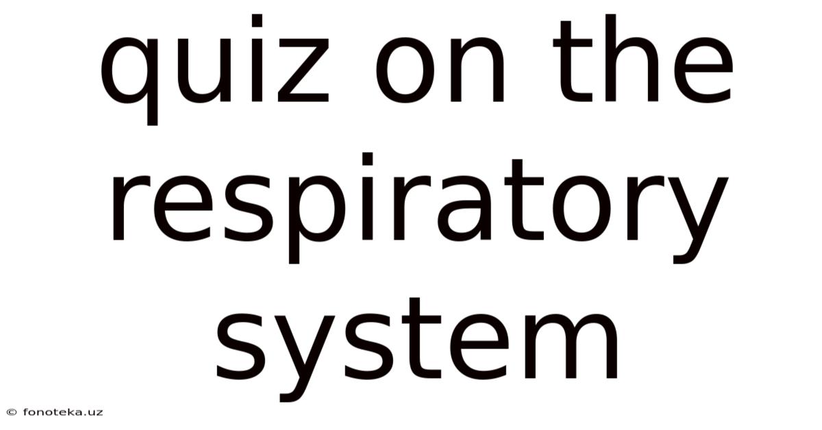Quiz On The Respiratory System