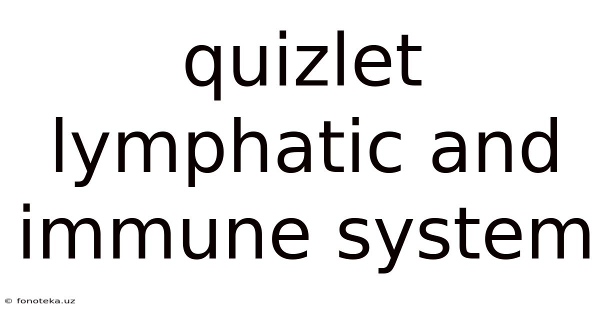Quizlet Lymphatic And Immune System