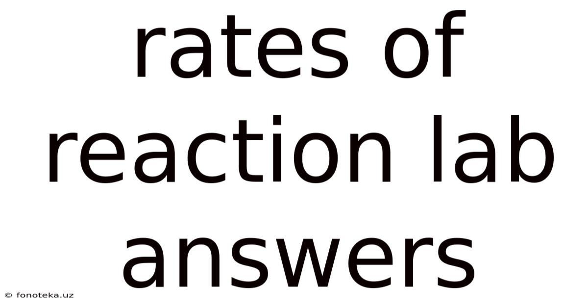 Rates Of Reaction Lab Answers