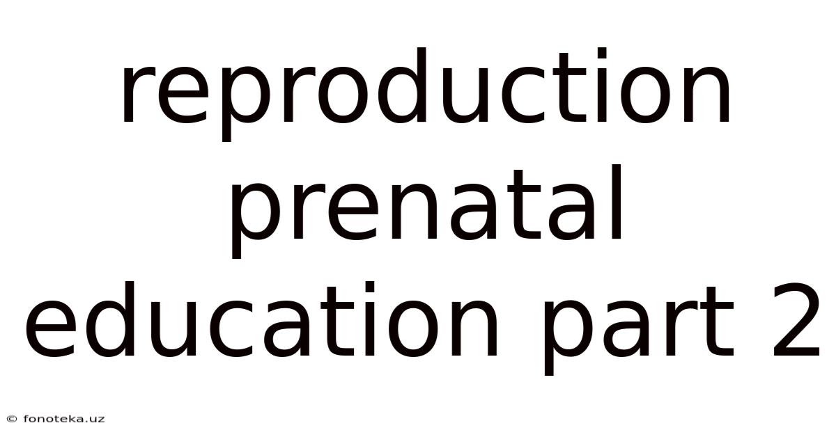 Reproduction Prenatal Education Part 2