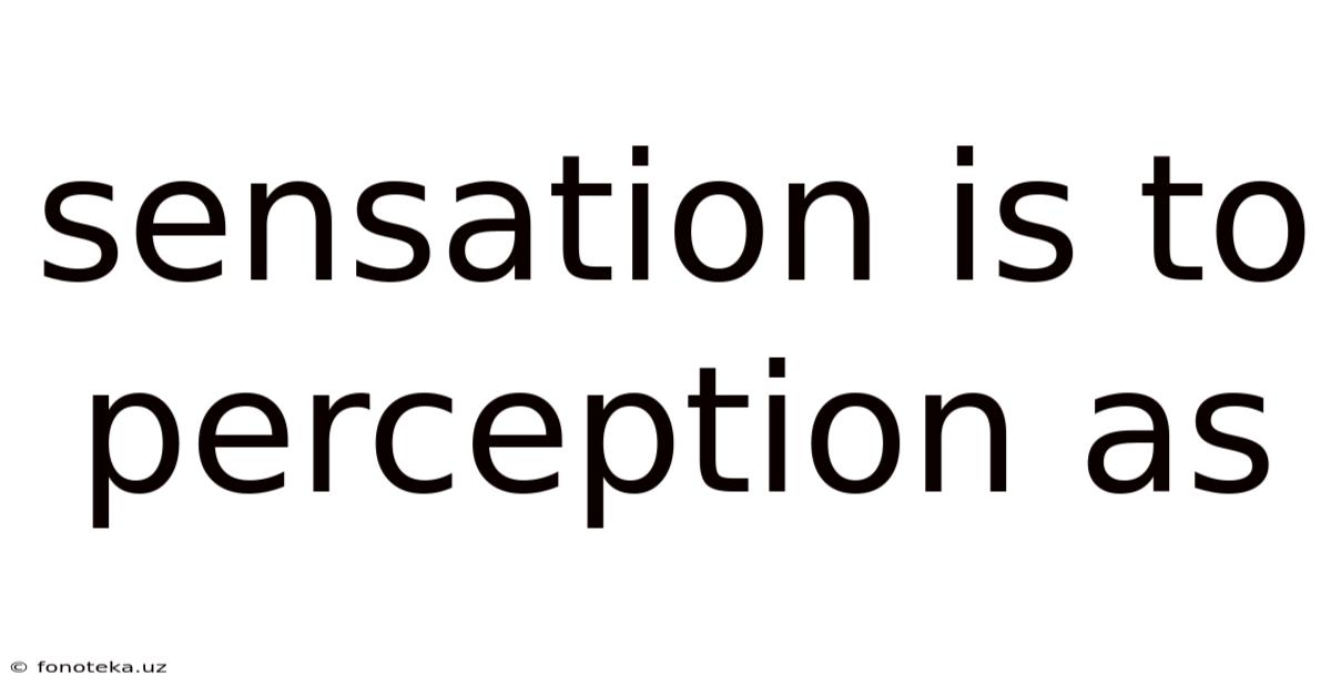 Sensation Is To Perception As