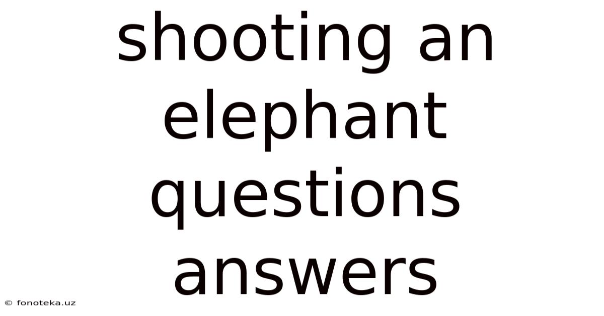 Shooting An Elephant Questions Answers