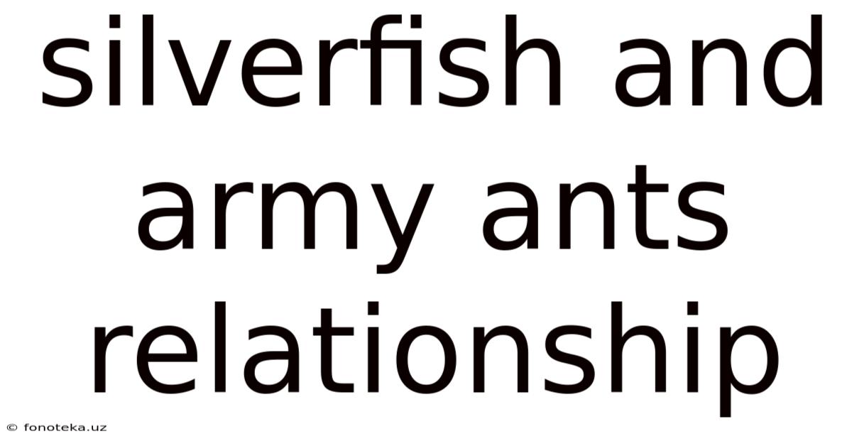 Silverfish And Army Ants Relationship