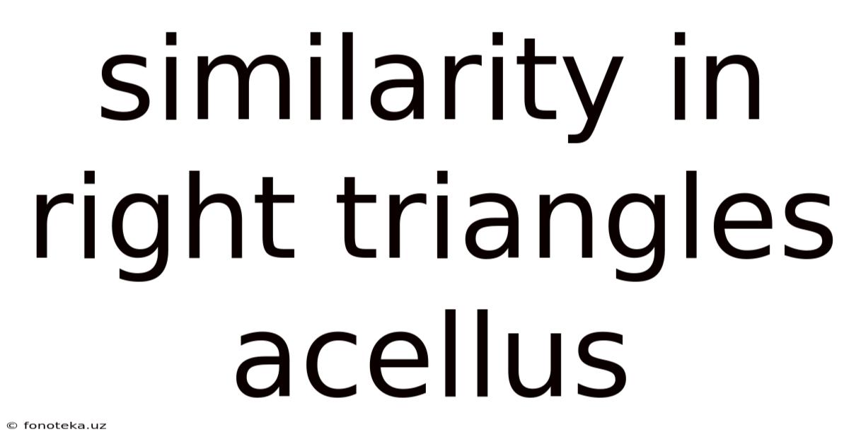 Similarity In Right Triangles Acellus