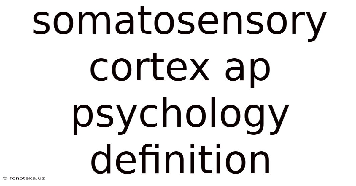 Somatosensory Cortex Ap Psychology Definition
