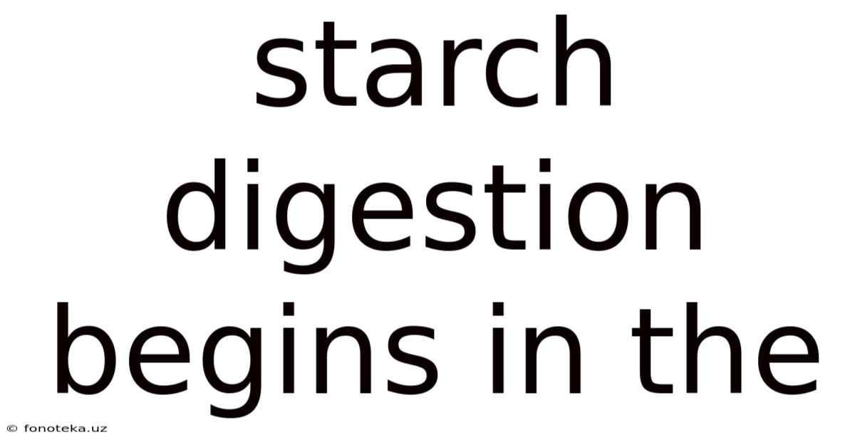 Starch Digestion Begins In The
