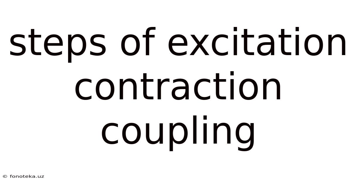 Steps Of Excitation Contraction Coupling