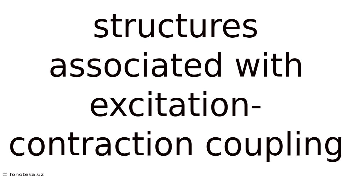 Structures Associated With Excitation-contraction Coupling