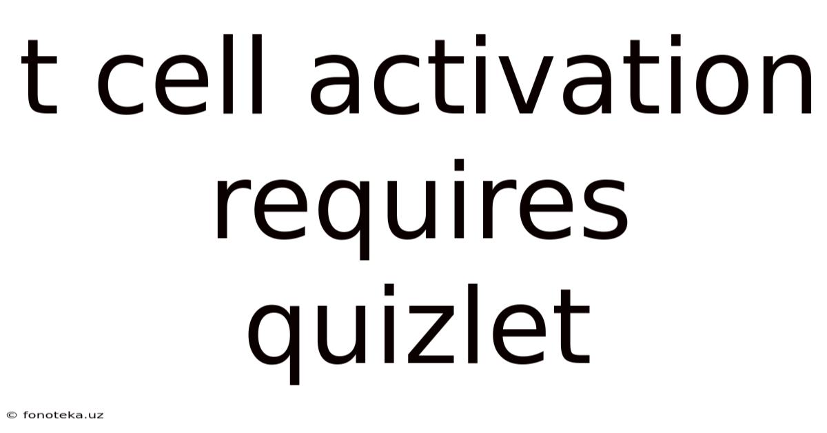 T Cell Activation Requires Quizlet