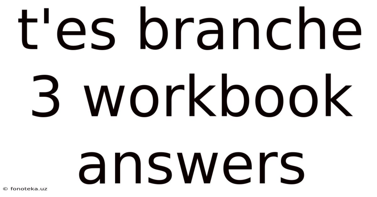T'es Branche 3 Workbook Answers