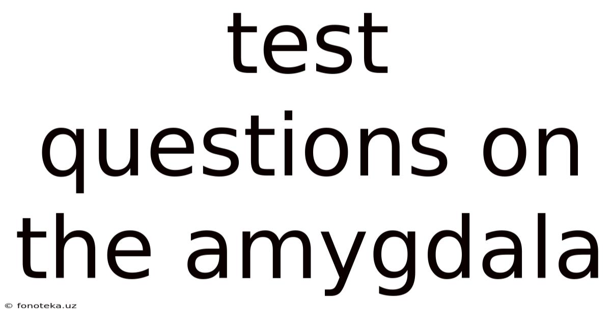 Test Questions On The Amygdala