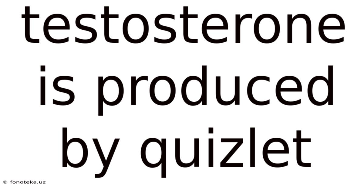 Testosterone Is Produced By Quizlet