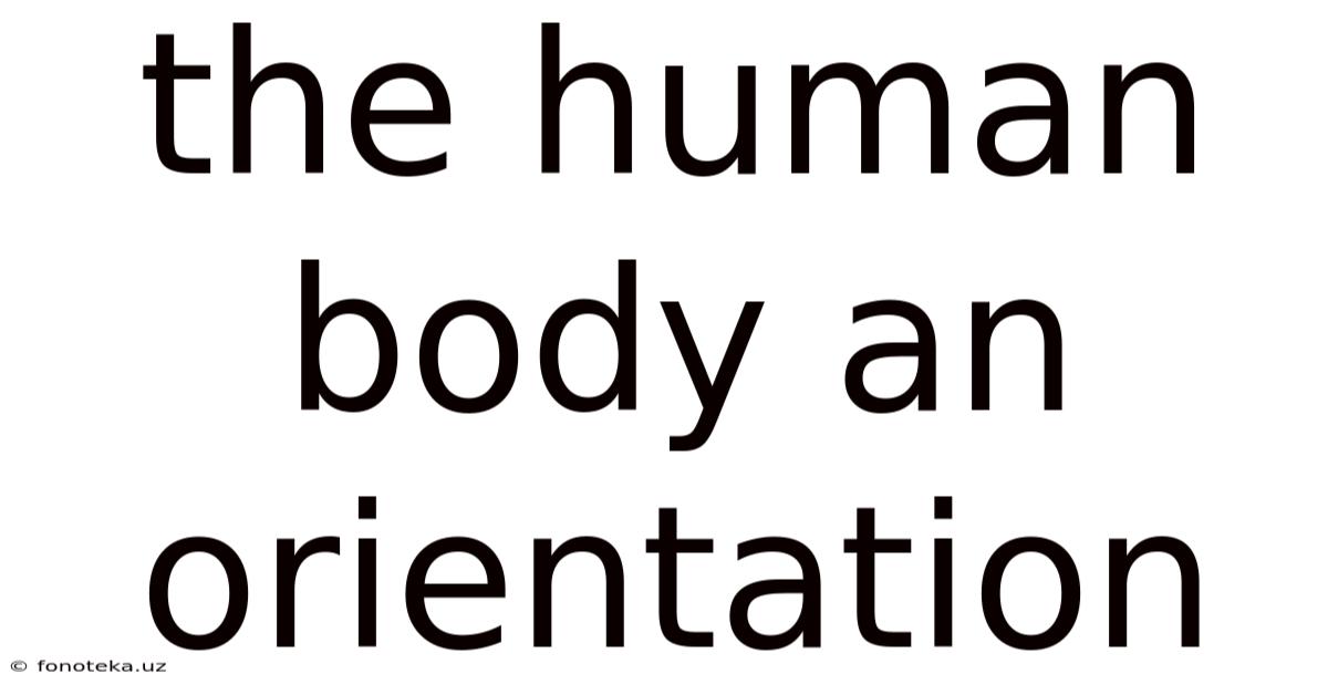 The Human Body An Orientation