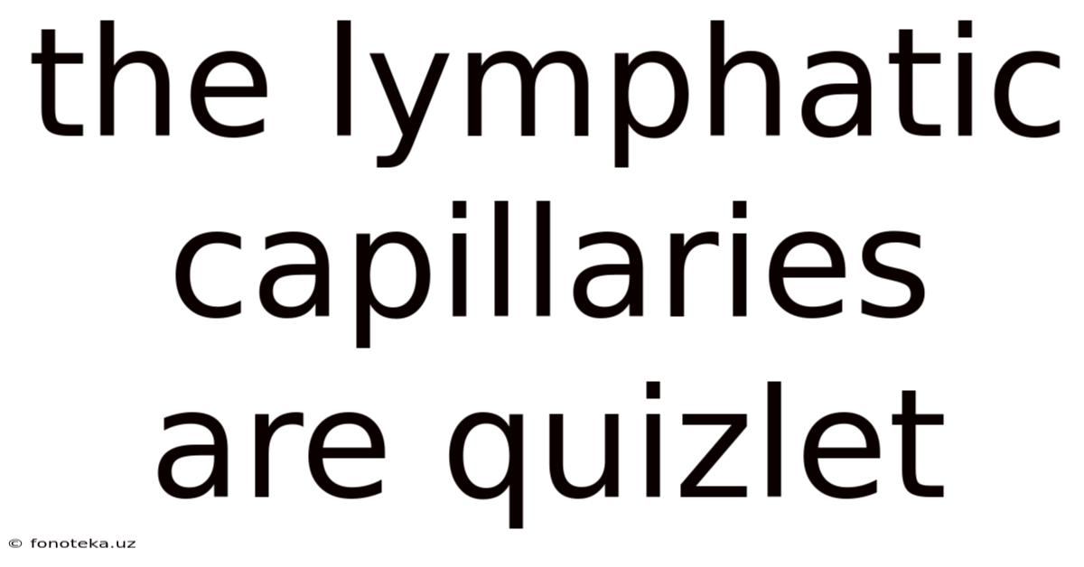 The Lymphatic Capillaries Are Quizlet